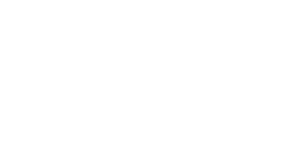 White logo Wise apply 1